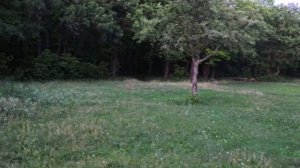 По трейлам Кумысной поляны ( Саратов)