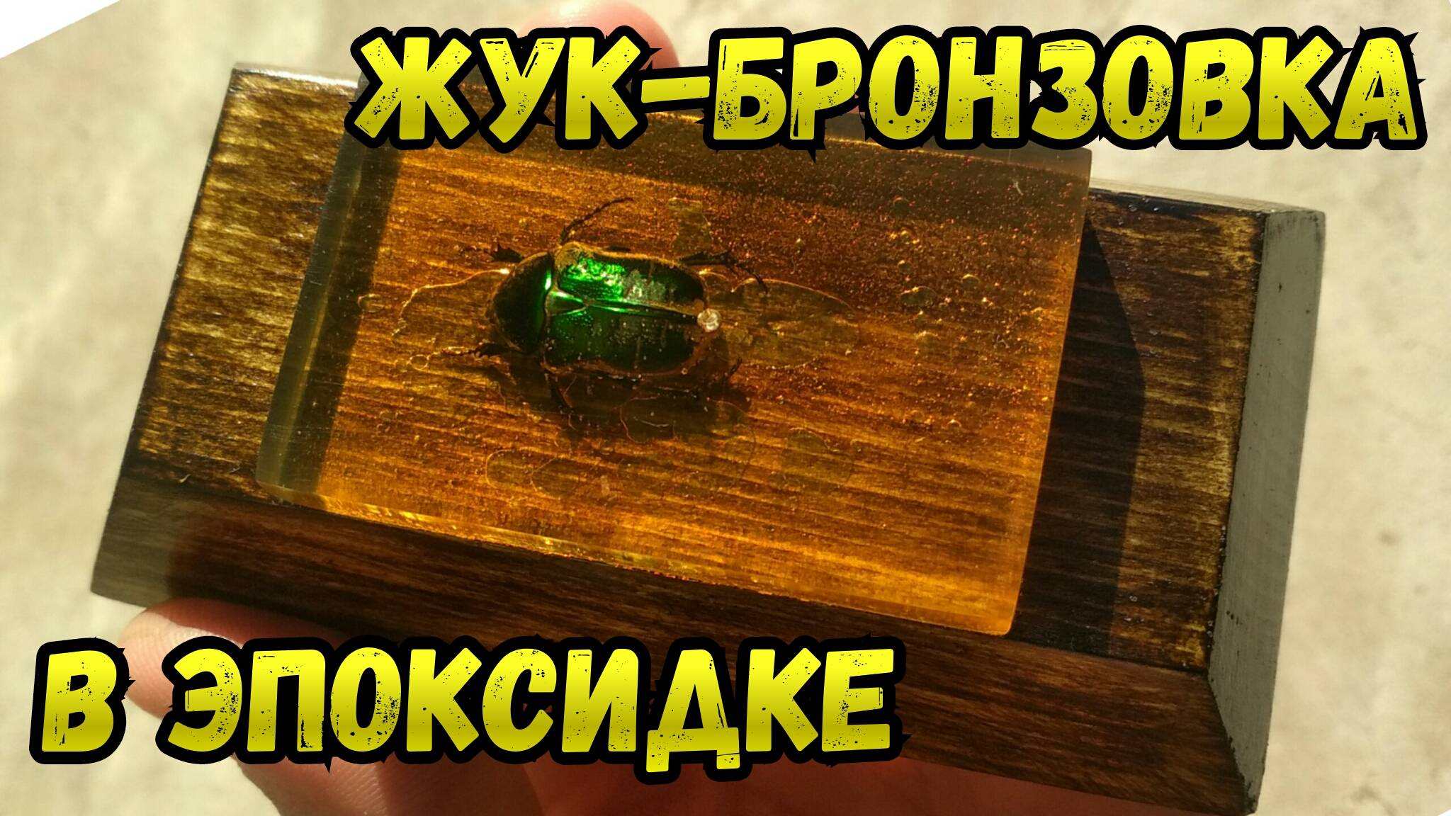 Жук в Эпоксидной Смоле на Подставке [DIY]