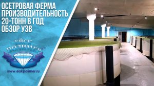 Осетровая ферма. Производительность - 20 тонн в год. Обзор УЗВ.