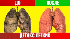 Лучшая защита легких и печени! Детоксикация легких и печени🙌