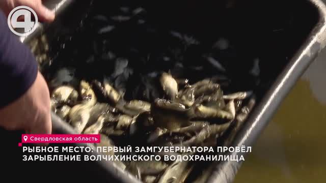 Рыбное место: первый замгубернатора провёл зарыбление Волчихинского водохранилища