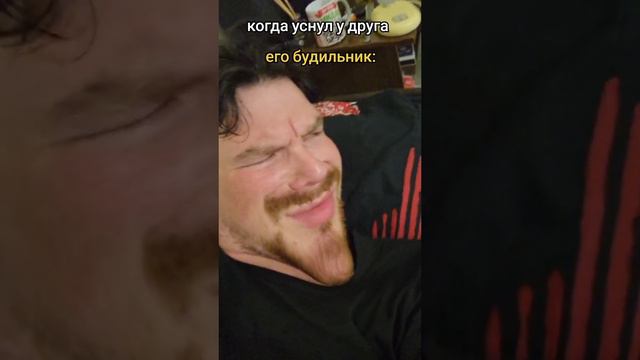 вставай хозяин пора просыпаться