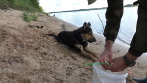 СХОДИЛ НА РЫБАЛКУ С ВЕРНЫМ ДРУГОМ! А п"А"том и с Мишей.