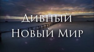 [Zayde Wølf - Brand New Thing] Гитарный Кавер На Русском