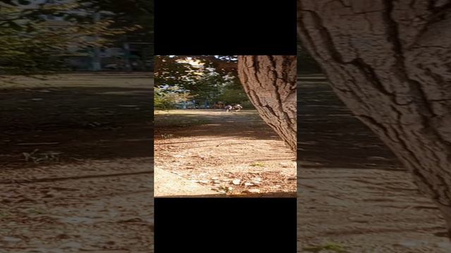 1000012299.mp4