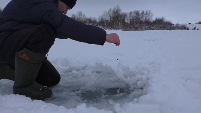 НАШЁЛ РЫБНОЕ МЕСТО и ПОКЛЁВКА ЗА ПОКЛЁВКОЙ! Рыбалка в устье затона ОКИ!