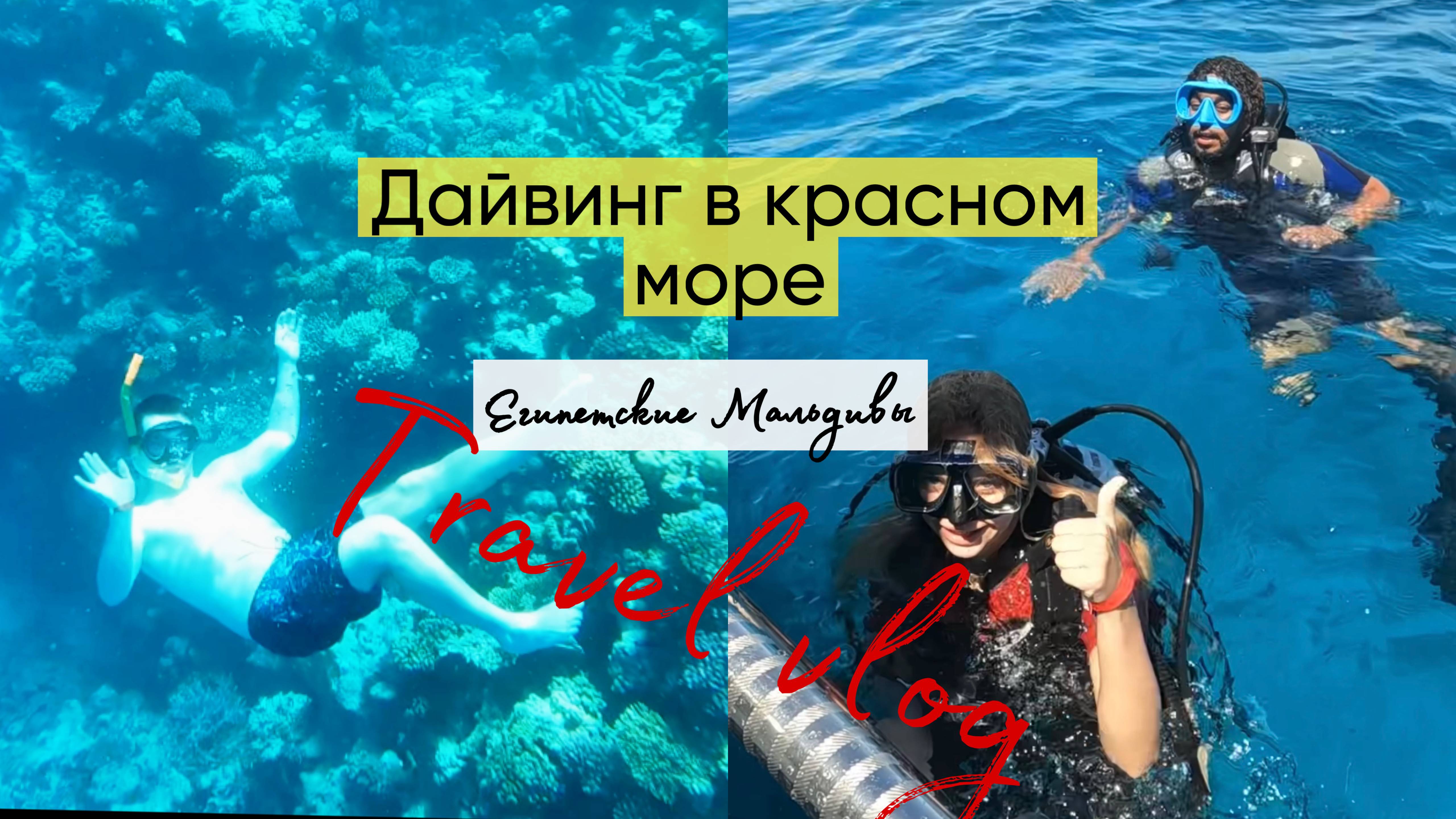 Дайвинг и снорклинг.Египет.Красное море.Шарм Эль Шейх.Обзор экскурсии.