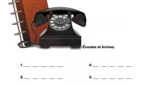 Les numéros de téléphone