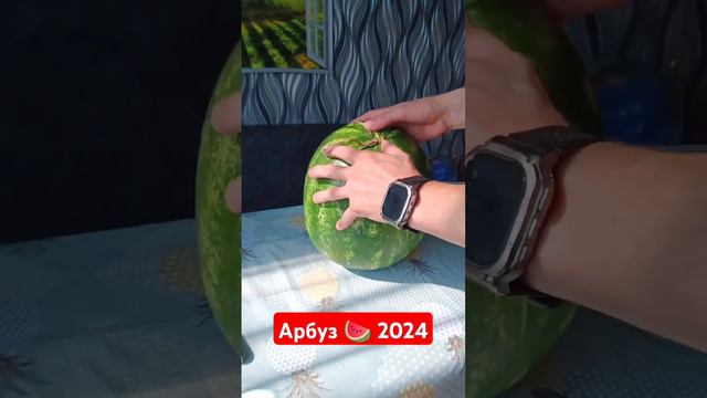 Арбуз  2024