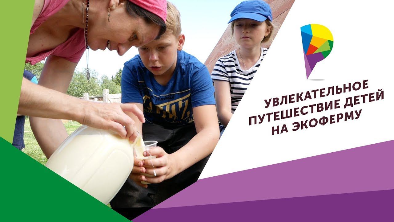 Увлекательное путешествие детей на экоферму