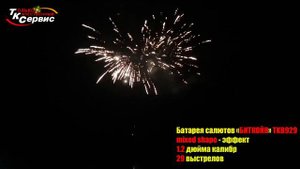 Салют, фейерверк TKB929 Биткойн 29 залпов х 1,2 калибр