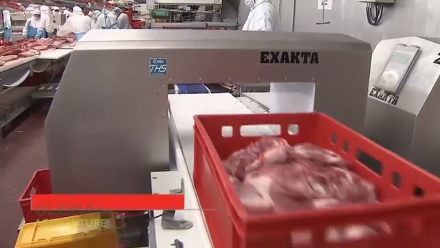 Pig Raising & Transport Method - Pork Slaughter & Cutting Line - Sausage Processing Technology