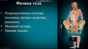 Звуковая и дыхательная психосоматика Звук А.mp4