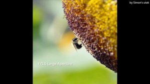 TTArtisan New 75mm f⧸1.5 Full Frame Swirly Bokeh Lens