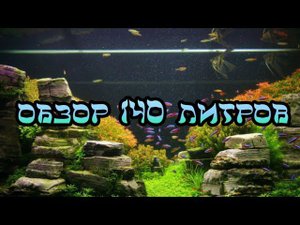 ОБЗОР АКВАРИУМА НА 140 ЛИТРОВ