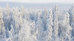 Главный Уральский хребет