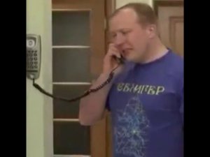 Старая собака.