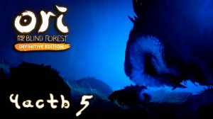 Ori and the Blind Forest: Definitive Edition ► Часть 5 ► Боль утраты ► Солнечный камень