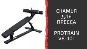 Тренажер "Скамья для пресса регулируемая" Protrain V8-101