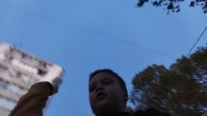 мы с енот и котиком обзор еда