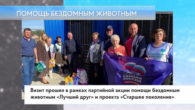 Помощь бездомным животным