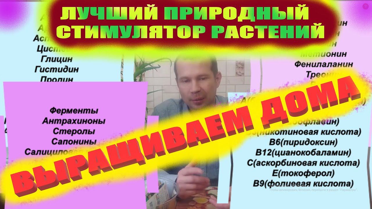 Стимуляторы роста растений своими руками.Сок этого растения богат витаминами и аминокислотами