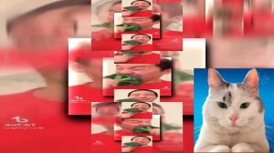 (YTPMV) YTPMV Junya1gou eating broccoli Scan Scan