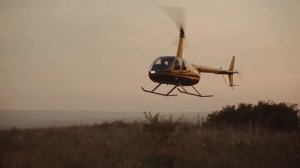 Предложение -  Сергей и Арина