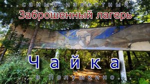 Самый известный заброшенный лагерь Чайка в Полушкино