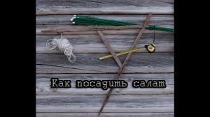 Как посадить салат