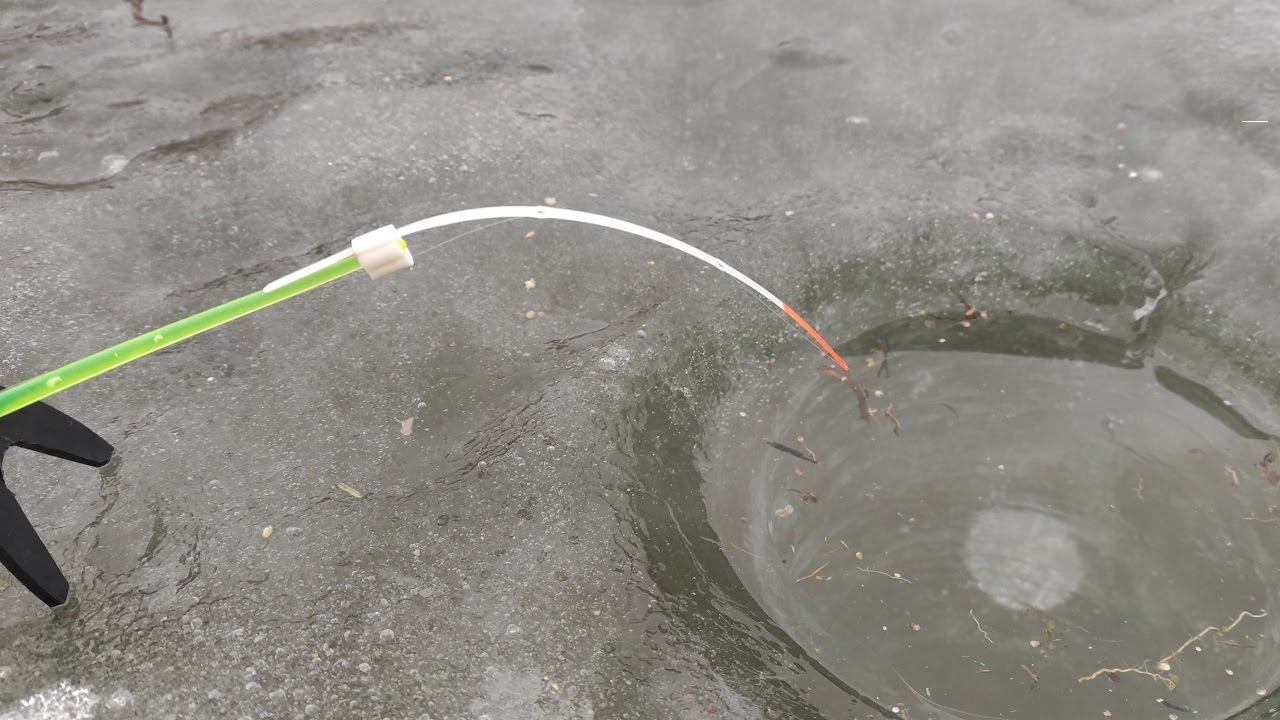 ТЫСЯЧИ карасей, САЗАНЫ под ногами!!!! Зимняя рыбалка по первому льду