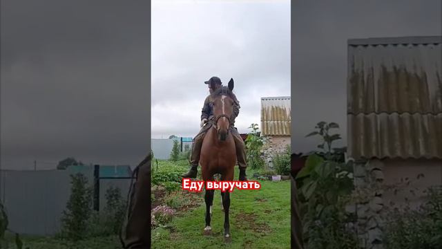 Еду бабу выручать.