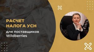 Расчет налога УСН для поставщиков Wildbessies 2024