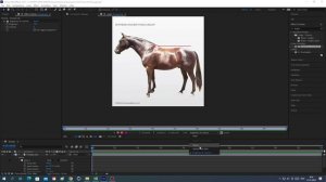 Подготовка графики для анимации животного