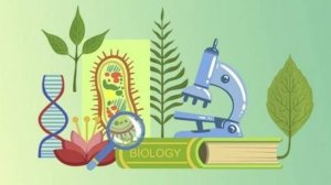 Биология 9 класс. Средообразующая деятельность организмов. --