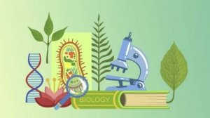 Биология 9 класс. Основные методы селекции.--