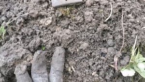 ХАЙЛИГЕНБАЙЛЬСКАЯ МЯСОРУБКА ПОИСК ПО ВВ2 WW2