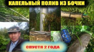 Капельный полив из бочки своими руками.Выводы спустя 2 года