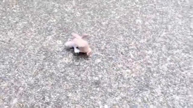 LPS MV: This Is Heartbreak смотреть онлайн