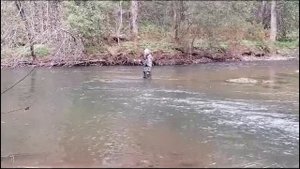 Рыбалка на горной реке осень 2024г. #рыбалка #хариус #ленок #горнаярыбалка #горнаярека