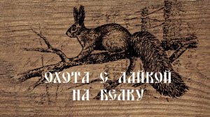 Охота с лайкой на белку