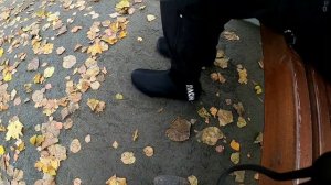 Strida. Стильные бахилы