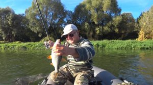 Рыбалка с ночёвкой. Попал под раздачу.