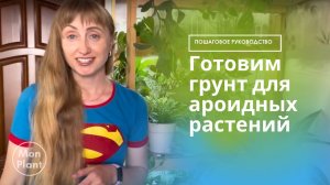 Грунт для ароидных - готовим почвенную смесь