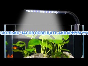 СКОЛЬКО ЧАСОВ ОСВЕЩАТЬ АКВАРИУМ !?