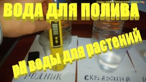 ВОДА ДЛЯ ПОЛИВА.Как рН воды влияет на растения