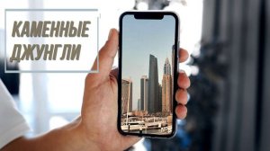 Дубай. Каменные  джунгли.