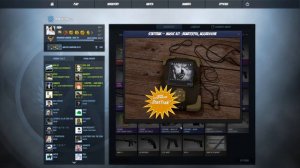 Beartooth, Aggressive - CS:GO