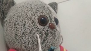 день с бксиками