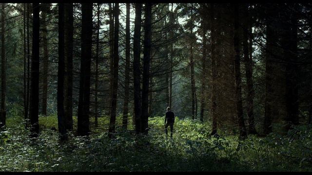 RAMYBĖ MŪSŲ SAPNUOSE ("Peace To Us In Our Dreams") oficialus LT treileris смотреть онлайн